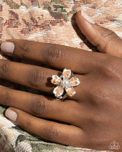 Load image into Gallery viewer, Complete Look