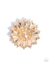 Load image into Gallery viewer, Polished Panorama - Gold Brooch
