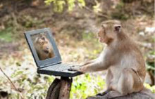 Load image into Gallery viewer, Tag a Friend Tuesday
